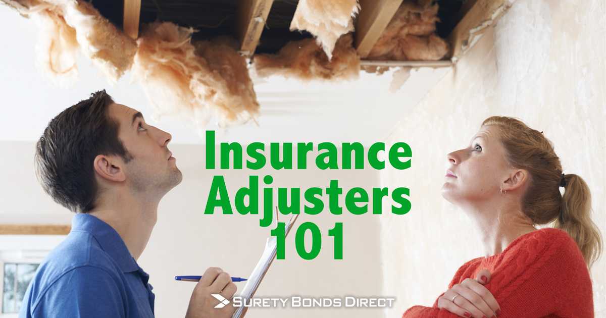 Guide to the Key Differences Between Types of Insurance Adjusters