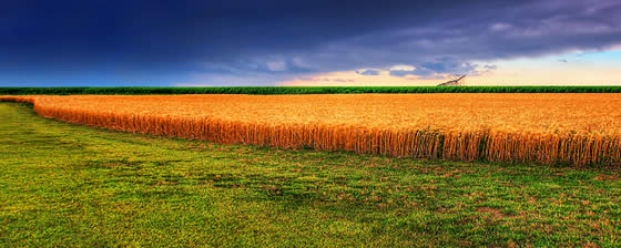 Kansas