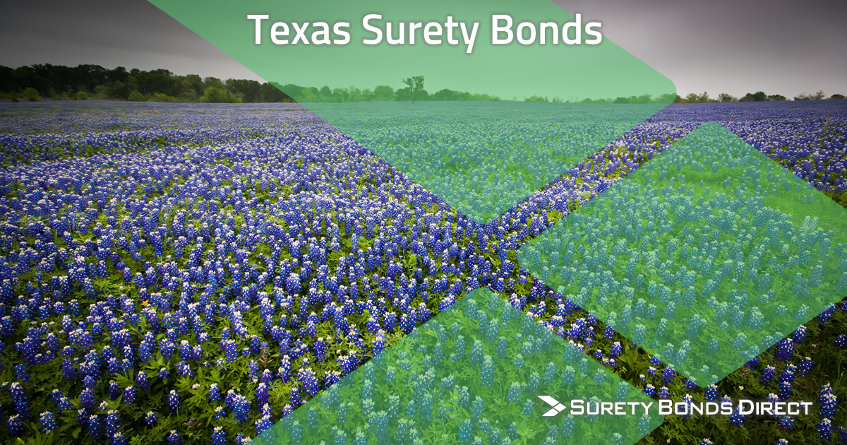 Texas Surety Bond Guide & Free Quotes Surety Bonds Direct