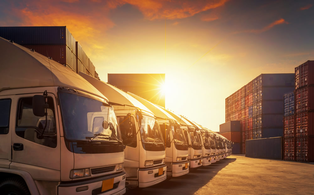 freight trucks lined up in lot at sunset