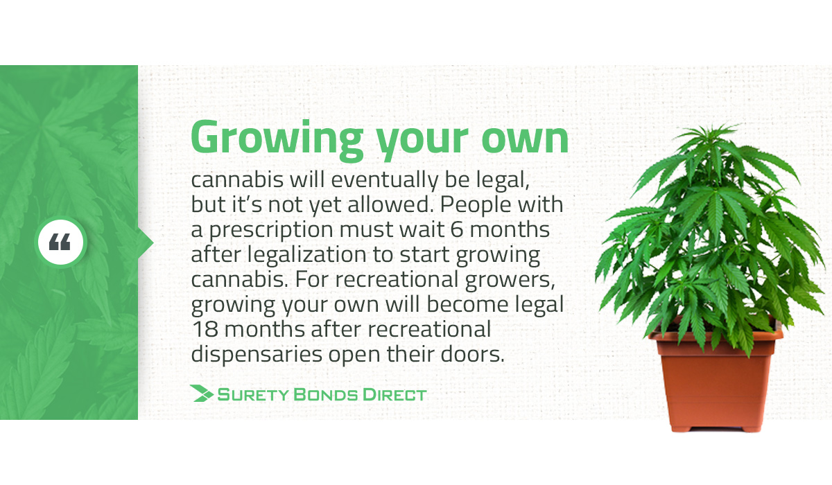 Growing your own cannabis will eventually be legal in New York, but it's not yet allowed. People with a prescription must wait 6 months after legalization to start growing cannabis. For recreational growers, growing your own will become legal 18 months after recreational dispensaries open their doors.