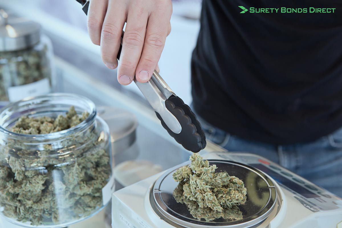 Weighing cannabis on a scale at a dispensary